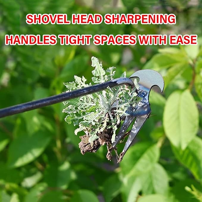Weeding Artifact Uprooting Weeding Tool, Multifunctional Weeder, Hand Weeder Tool, 4 Teeth Stand Up Weed Puller Tool with Handle for Garden Yard Farm Weed Removal (16in, Extra Long Wood Handle)