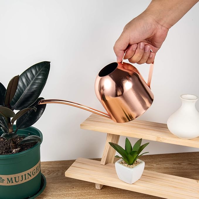 IMEEA Indoor Watering Can for House Plants 33oz/1L Stainless Steel Watering Can with Long Spout (Rose Gold)