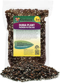 Monstera Dubia Soil Mix - Promotes Healthy Root Growth and Moisture Retention - 2 Quart