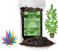 Premium JUST-ADD-Water Potting Soil Mix - Optimal Nutrient-Rich Blend for Thriving and HIGH-Yield Herbal Plants - 2 Quart