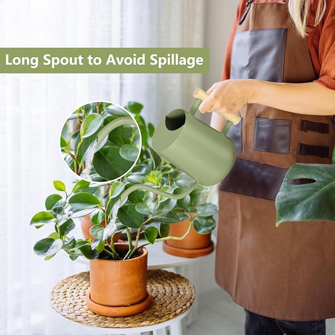 Watering Can Indoor Plants, 35oz Small Watering Can Indoor Stainless Steel Metal Watering Can Modern Decorative Watering Pot with Long Spout for Indoor House Plant Bonsai Garden Flowers (Sage Green)