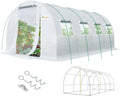 KING BIRD Premium 20x10x6.6FT Greenhouse for Outdoors, Large Walk-in Heavy Duty Galvanized Steel Frame, Mesh Door Screen Window Upgraded Zipper Tunnel Hoop for Garden Plant Winter, White