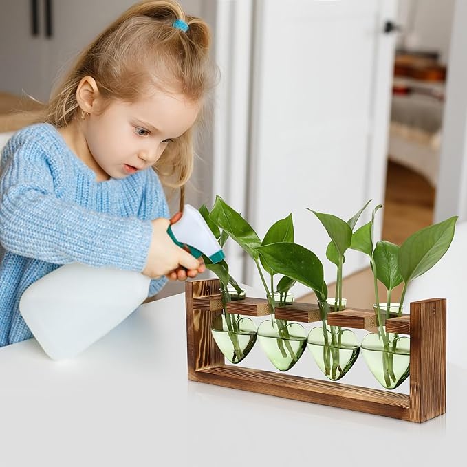 Plant Propagation Stations Heart Plant Terrarium Kit Gift for Women Plant Lover Glass Vases
