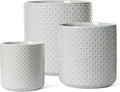 LE TAUCI Ceramic Pots for Plants, 6+8+10 Inch Planters for Indoor Plants, Plant Pots Indoor for Home and Office, Mid-Modern Century Flower Pots with Drainage Hole and Silicone Plug, Glaze Star Gray