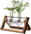 Kingbuy Glass Desktop Planter with Retro Wooden Stand and Plant Terrarium Vase (2 Hearts) for Indoor Home Office Desk Decor Accessories