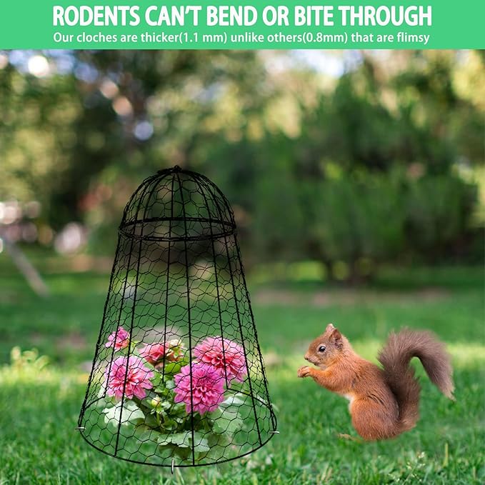 Garden Cloches for Plants Extra Large Sapbontchi Garden Cloche Chicken Wire Cloche for Plants Cages Cover Plant Protectors from Animals in Outdoor Vegetable Garden Set of 6 Plant Cloche 20" H x 12" D