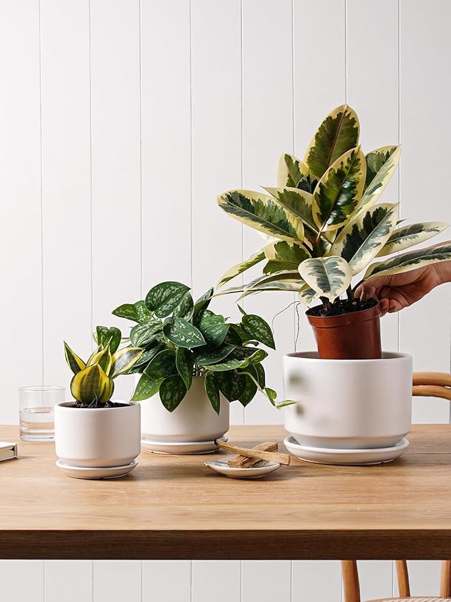 LE TAUCI Plant Pots Indoor, 4.3+5.3+6.8 Inch, Set of 3, Ceramic Planters with Drainage Hole and Saucer, Modern Indoor Flower Pot with Hole Mesh Pad, Gifts for Mom, Classic White