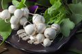 Turnip Seeds Seven Top | Heirloom Leafy Greens | Brassica rapa var. rapa | Garden Vegetable Seeds