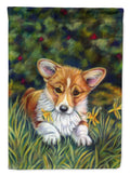 Corgi Pup and Daffodils Garden Flag – Decorative Outdoor Yard Flag 7300GF