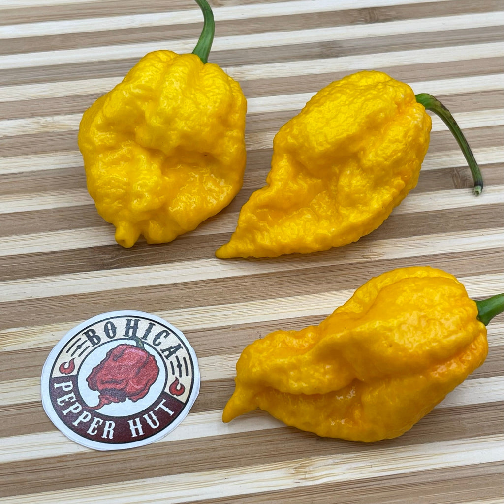 Yellow Fever - Seeds