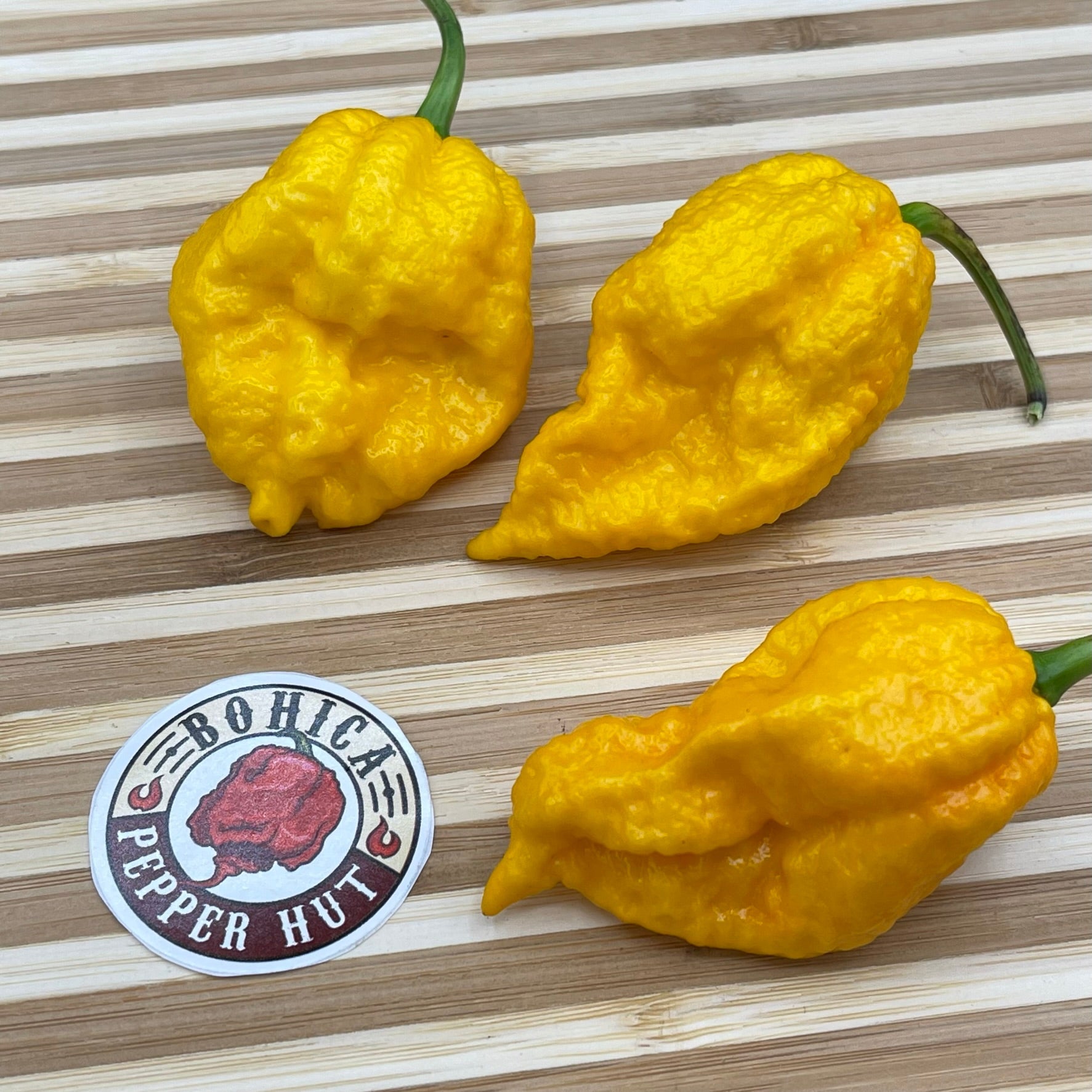 Yellow Fever - Seeds