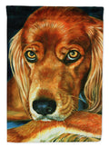 Irish Setter Serious Garden Flag – Decorative Outdoor Yard Flag 7315GF