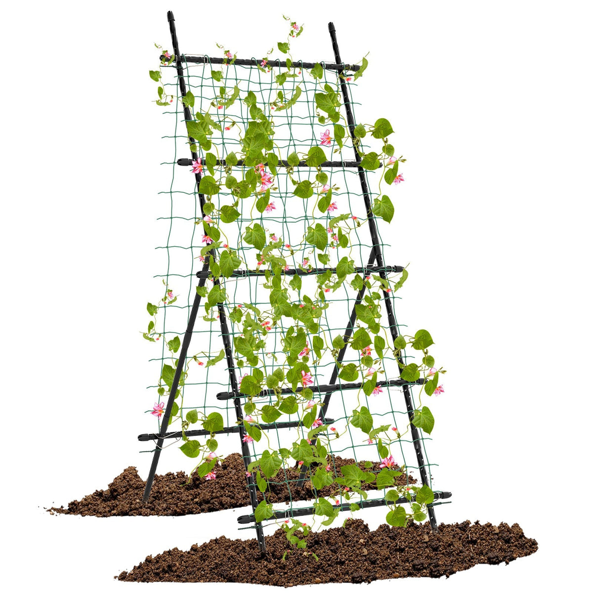 74 Inch Tall Garden Trellis for Flower Vine Vegetable Fruit Pea-Black