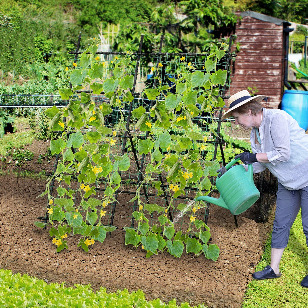 74 Inch Tall Garden Trellis for Flower Vine Vegetable Fruit Pea-Black