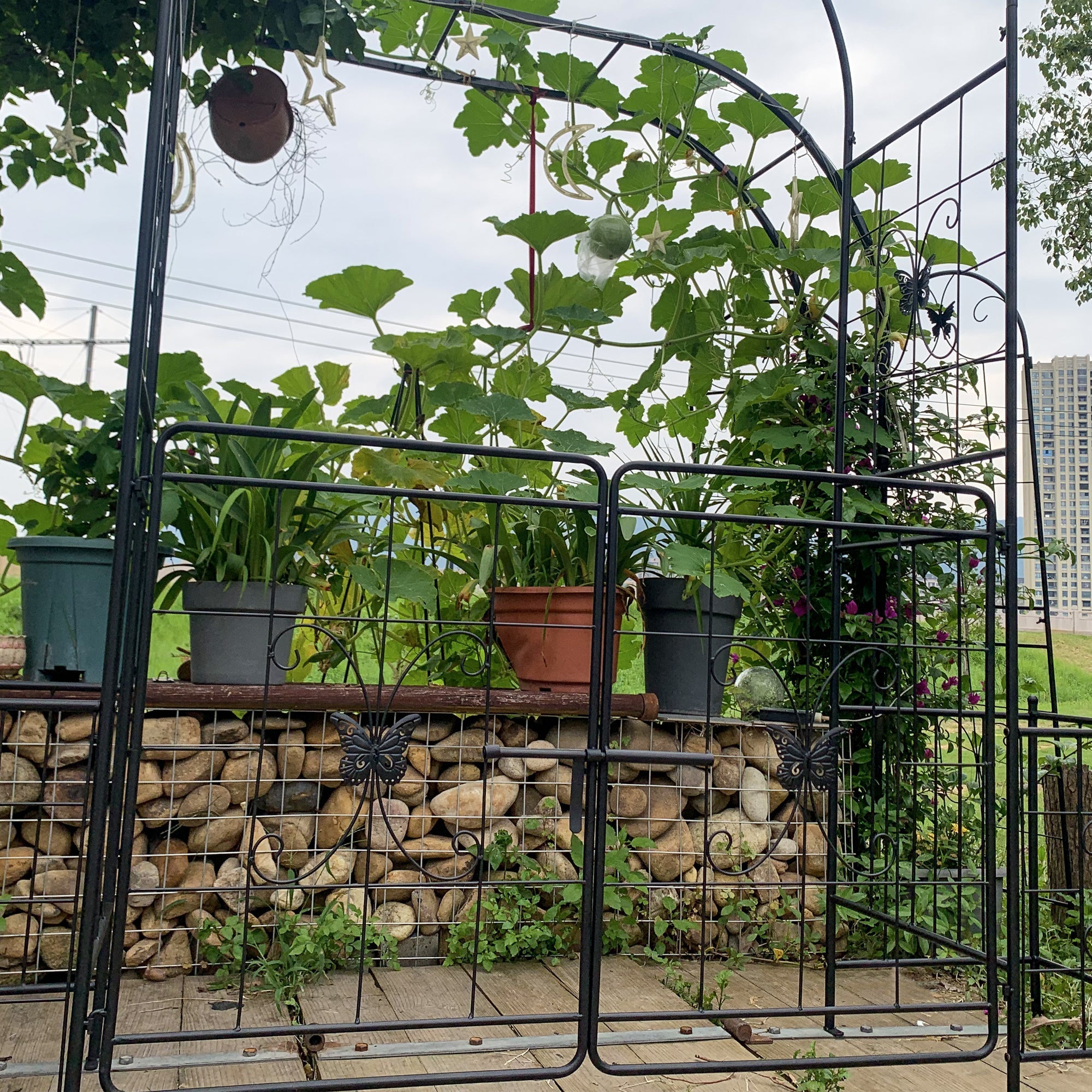 Garden Arch Arbor Trellis for Climbing Plants with Gate