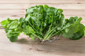 Arugula Seeds, Heirloom Rocket, Peppery Salad Greens, Eruca vesicaria, Pack of 700