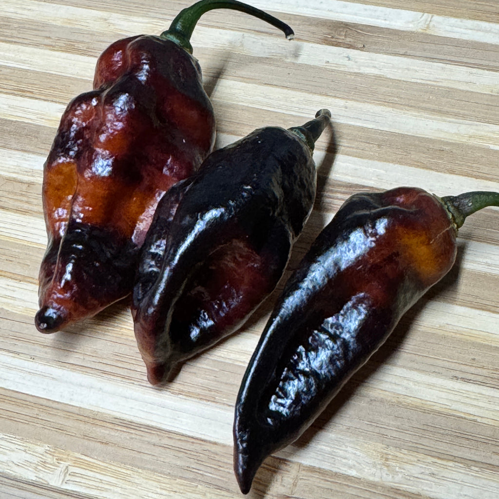 Black Bastard Yellow - Seeds