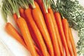 Tendersweet Carrot Seeds Heirloom Variety, Sweet & Tender, Daucus carota subsp. sativus, 300 Pack