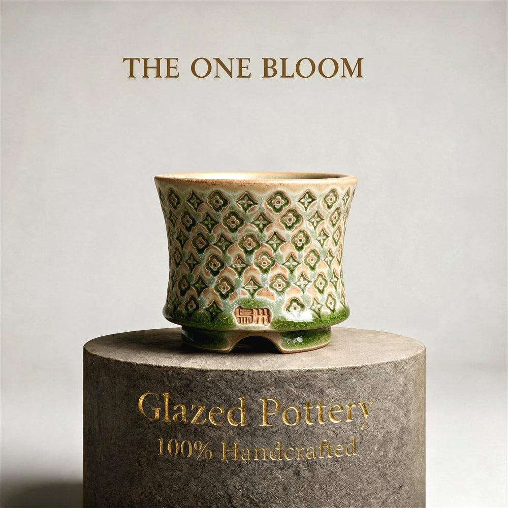 WS-0062 Artisan Handcrafted Pottery Planter Pot - Pot Rim Diameter: ~3"