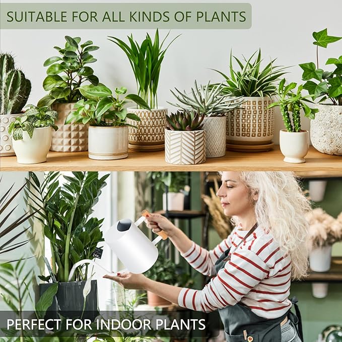 Watering Can Indoor Plants, 35oz Small Watering Can Indoor Stainless Steel Metal Watering Can Modern Decorative Watering Pot with Long Spout for Indoor House Plant Bonsai Outdoor Garden Flowers -White
