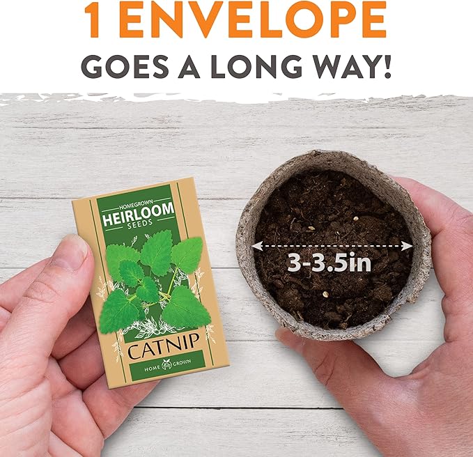 HOME GROWN 3200+ Cat Grass – 𝗡𝗢𝗡-𝗚𝗠𝗢 𝗨𝗦𝗔 Grown Catnip, Alfalfa, Oat, Cat Grass Mix – Indoor Cat Grass Kit Refill – High-Germination Pet Grass for Hairball Relief & Digestion