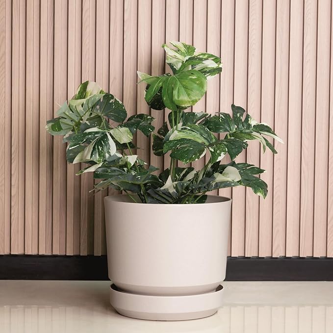 Elly Décor 10 inch Plastic Cylinder Planter Pot with Self-Watering Saucer and Drainage Hole,Lightweight & Extremely Durable, 10"x 10", Ivory
