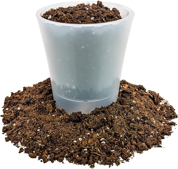 Money Tree Potting Soil, Soil Mix for Planting or Repotting Guiana Chestnut, Soil Blended to Properly Grow Money Tree Plants - (5 Quart Bag)