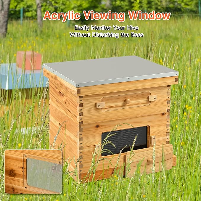 CREWORKS 10 Frame Bee Hive, 2 Layers Beeswax Coated Beehive Starter Kit with Frames & Foundations, Langstroth Bees Hives Box with Transparent Acrylic (Window Medium Box & Deep Box)