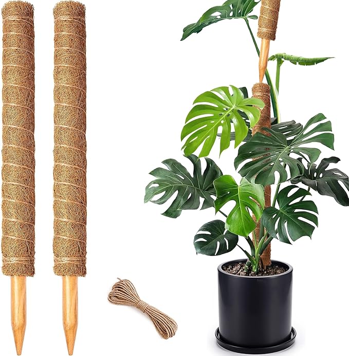 2 Pack 21 Inch Moss Poles, Stackable Moss Pole for Plants Monstera, 37 Inch Tall Moss Poles for Climbing Plants Indoor, Coir Totem Plant Support Stakes Stand for Potted Plants, Pothos