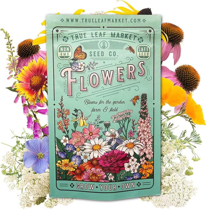 All Annual Wildflower Seeds Mix – 1 lb, 16,000+ Seeds – 21 Flower Vari ...