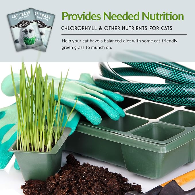 Cat Grass Seed for Planting - Packet with Instructions to Plant & Grow Greens for Your Pet Indoors or Outdoors in a Container or Garden - Non-GMO Heirloom Variety - Survival Garden Seeds