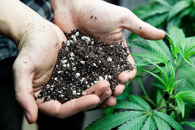 Organic Autoflower Plants Potting Soil Mix - Perfect Balance of Nutrients, Drainage, and Aeration for Thriving Autoflower Plants- 5 Quart