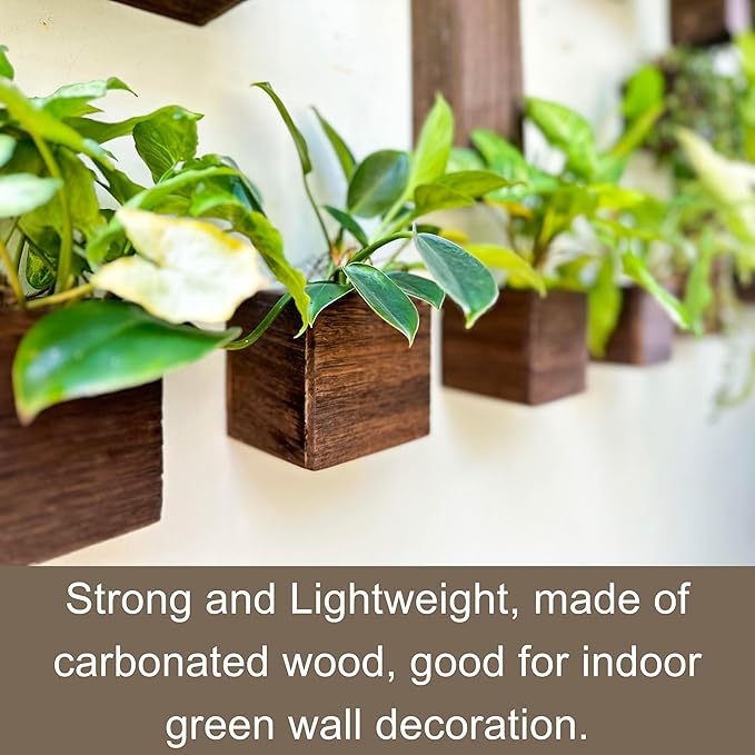 LaLaGreen Wood Planter Boxes for Plants (8 Pack, 4x4 Inch) Small Square Wall Mounted Planters for Indoor Plant, Herb Wooden Box Hanging Flower Pot Plant Holder Outdoor Fence Vertical Garden Home Decor