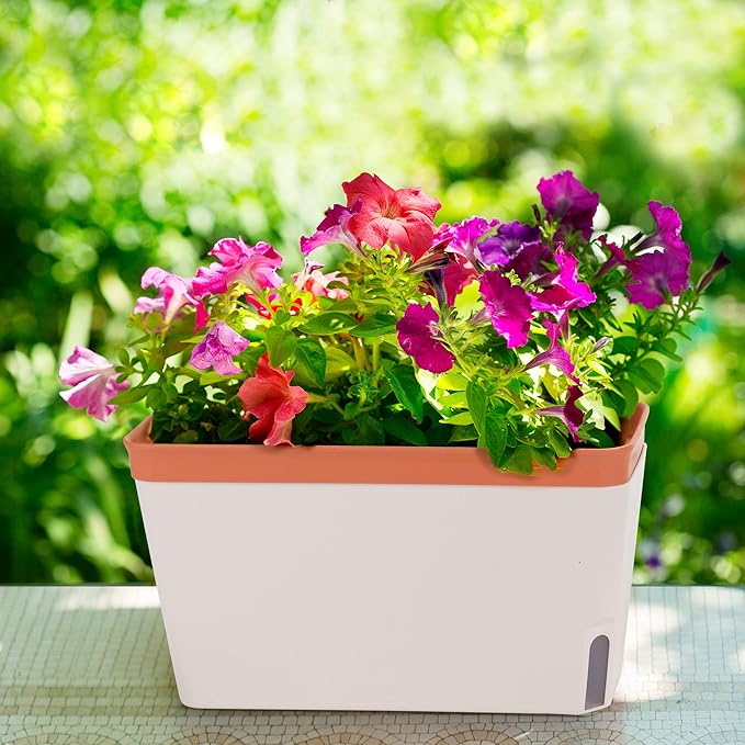 Amazing Creation Window Herb Planter Box, Vibrant Window Herb Garden, Self-Watering Rectangular Planter for Kitchen, Plants, and Succulents - Set of 3