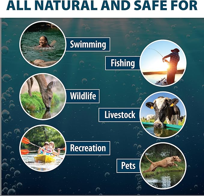 Airmax Twilight Blue Pond Dye 4X Concentrate for Outdoor Ponds & Lakes, Natural Pond Colorant & Beauty Enhancer, Block Ultraviolet Rays, Fish, Bird & Livestock Safe, Easy Liquid Application,1 Quart