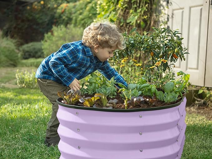 Galvanized Raised Garden Beds Outdoor // 4×2×1 ft (2-Pack) Planter Raised Beds for Gardening, Vegetables, Flowers (Lavender) // Large Metal Garden Box