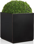 Metallic Heavy Cube Planter Box, No Assemble, Seamless Large Square Planter for Trees, Plants and Flowers 21”Lx21”Wx24”H 35Pounds Black with Hand Brushed Gold Rim