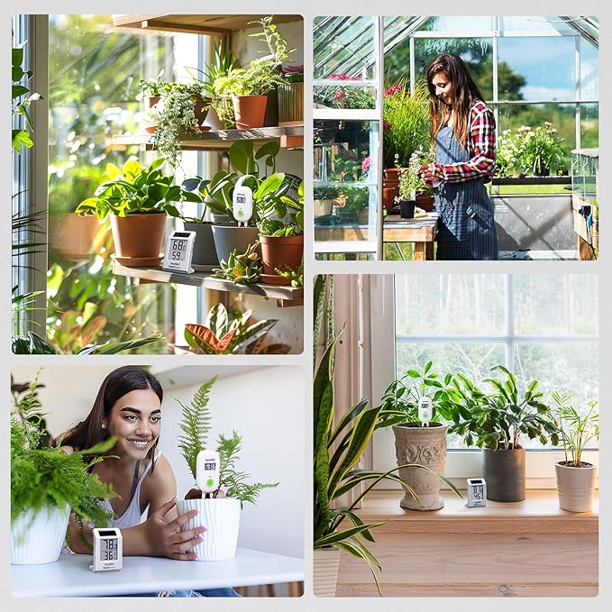 RAINPOINT Light-Driven Thermo-Hygrometer & Smart Digital Wireless Soil Moisture Meter (WiFi Hub Needed) Kit, Real-time Monitor Sensor Gardening Plant Care Essentials