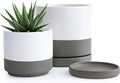 D'vine Dev 4.6 Inch & 6 Inch Ceramic Planter Pots for Plants with Drainage Hole and Saucer, Small Plant Pots Set, White/Speckled Grey, 94-G-S-6