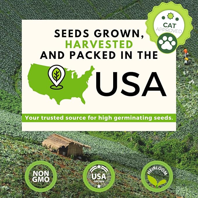 HOME GROWN 3200+ Cat Grass – 𝗡𝗢𝗡-𝗚𝗠𝗢 𝗨𝗦𝗔 Grown Catnip, Alfalfa, Oat, Cat Grass Mix – Indoor Cat Grass Kit Refill – High-Germination Pet Grass for Hairball Relief & Digestion