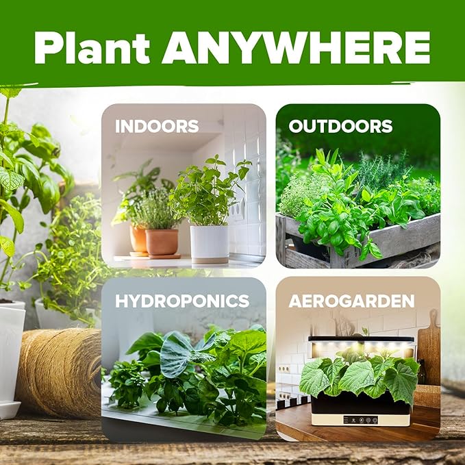 HOME GROWN 6 Herb Seeds for Planting 3,200+ Non-GMO Heirloom Seeds | Extra Large Variety Pack Herb Kit – Indoor Outdoor & Hydroponic | Culinary Seed Set | Grow Your Own Herbs | Gift for Beginners