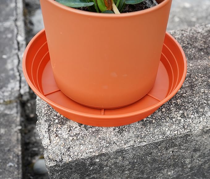 Plant Saucer 6 Inch 4 Pack 6 8 10 12 14 16 18 20 25, Plastic Plant Trays for Pots，Extra-Deep Plant Water Dray Tray, Bird Bath Bowl, Heavy Flower Plant saucers Indoors and Outdoor No Holes 6in-4 red