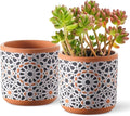 Ceramic Flower Pots for Indoor Plants Set of 2, 5 Inch Boho Plant Pot with Drainage Holes,Modern Planter for Decora Succulents/Snake Plant/Orchid/Peace Lily/House Plants,Terracotta