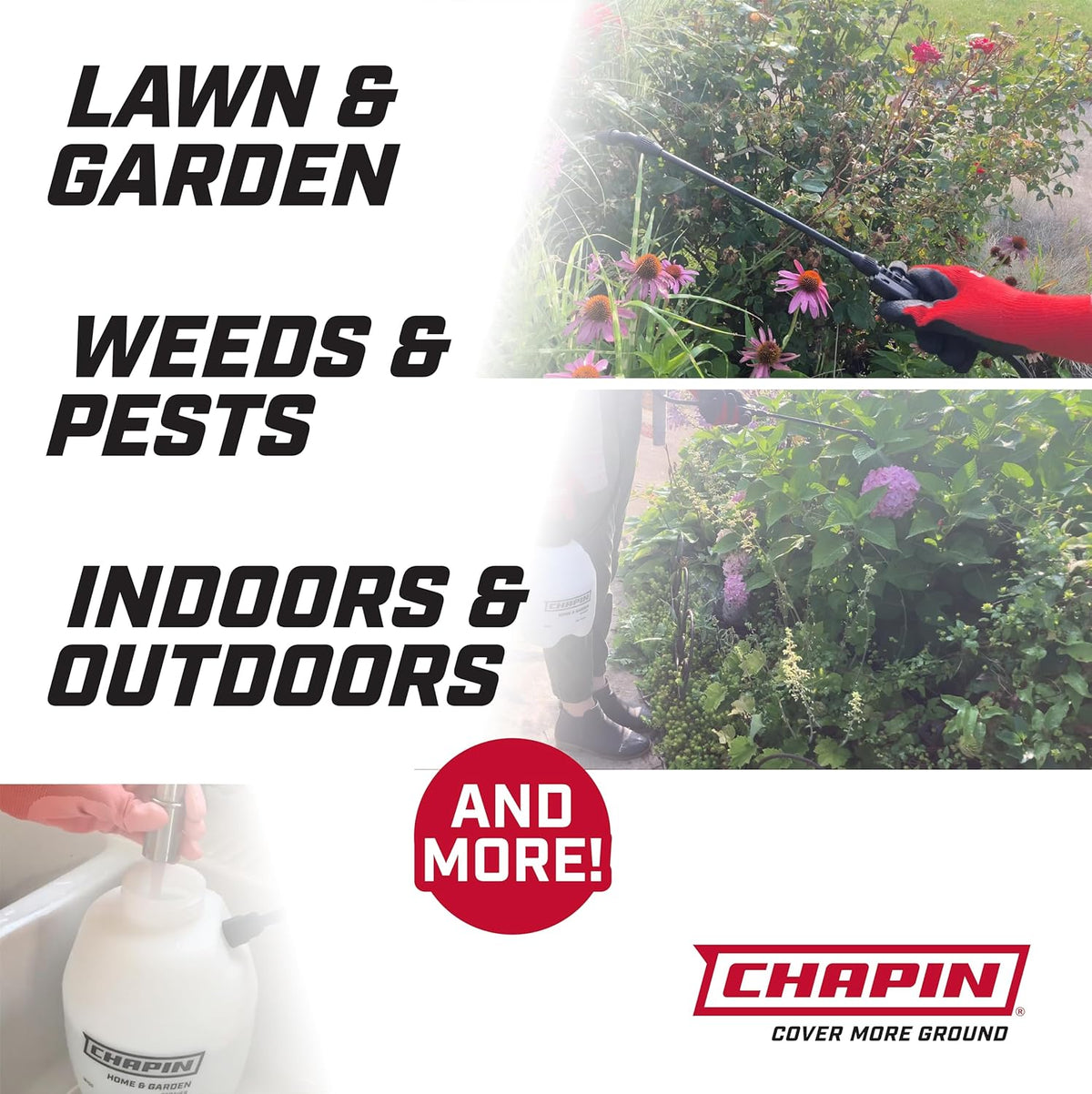 Chapin International 16144 1 Gallon Multipurpose Sprayer for Lawn, Home and Garden,Translucent White
