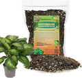 Premium Dumb Cane Potting Soil Mix - Ideal Blend for Growing Robust and Healthy Dumb Cane Plants - 4 Quart