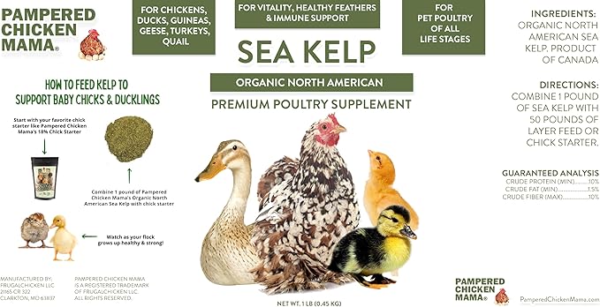 Organic Kelp for Chickens & Duck Feed (1 Pound): Chicken Vitamins | Chicken Supplements | Vitamins for Chickens | Pampered Chicken Mama