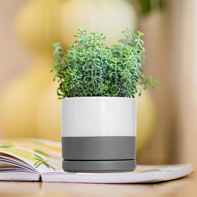 D'vine Dev Set of 4 Small Ceramic Plant Pots, 4.6 Inch Succulent Planter Pot for Plants with Drainage Hole and Saucer, White/Speckled Grey, 94-X-B-6
