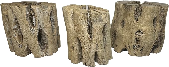3 Natural Cholla Wood Air Plant Display Holders 2 inch Individually Unique Round Decorative Stands
