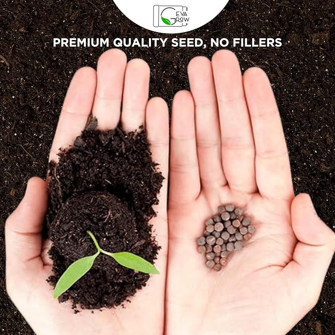 Geva Grow on The Go Seed Shaker - Northwest Wildflower Seeds Regional Mix - Organic, Non-GMO - 100% Pure Seed - 20 Different Wildflowers Seeds of Annual and Perennial, 8oz