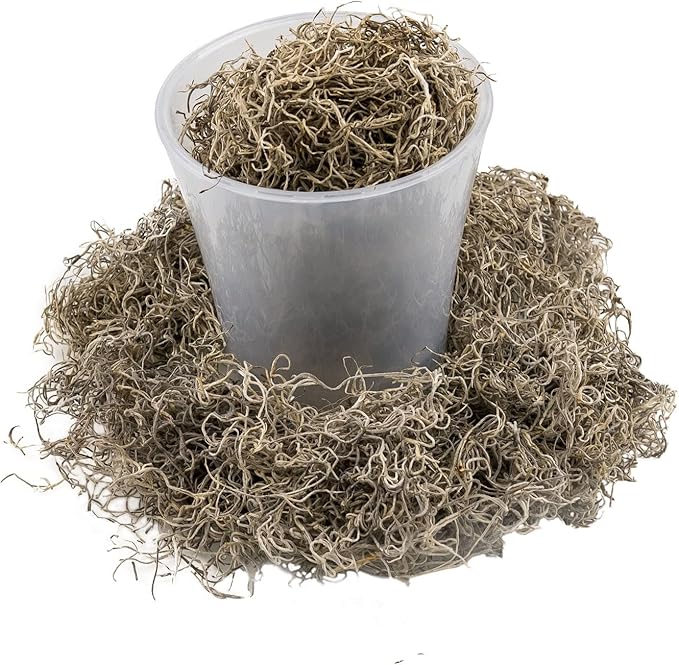Premium Natural Spanish Moss | Natural Preserved - Great Ground Cover - Filler for Potted Plants - by GARDENERA - 4 Quart Bag
